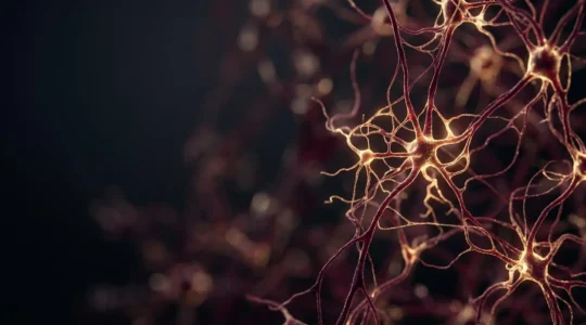 Close-up of human brain neural network activity during transcendental meditation state showing restful alertness